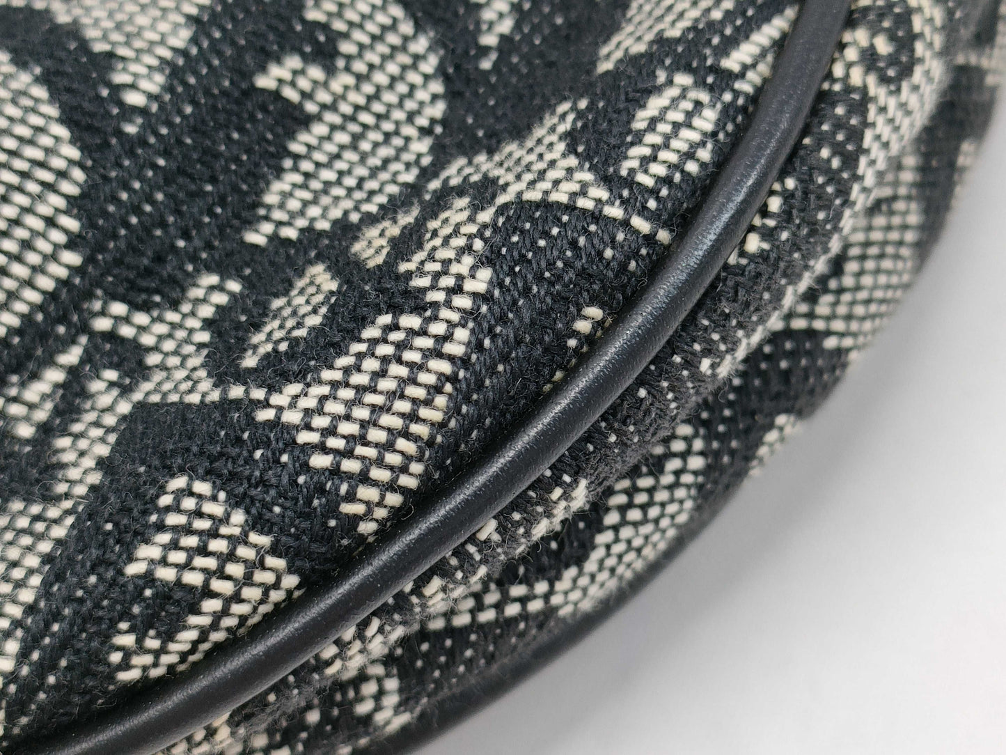 Dior Trotter Saddle Bag Canvas and Leather Handbag