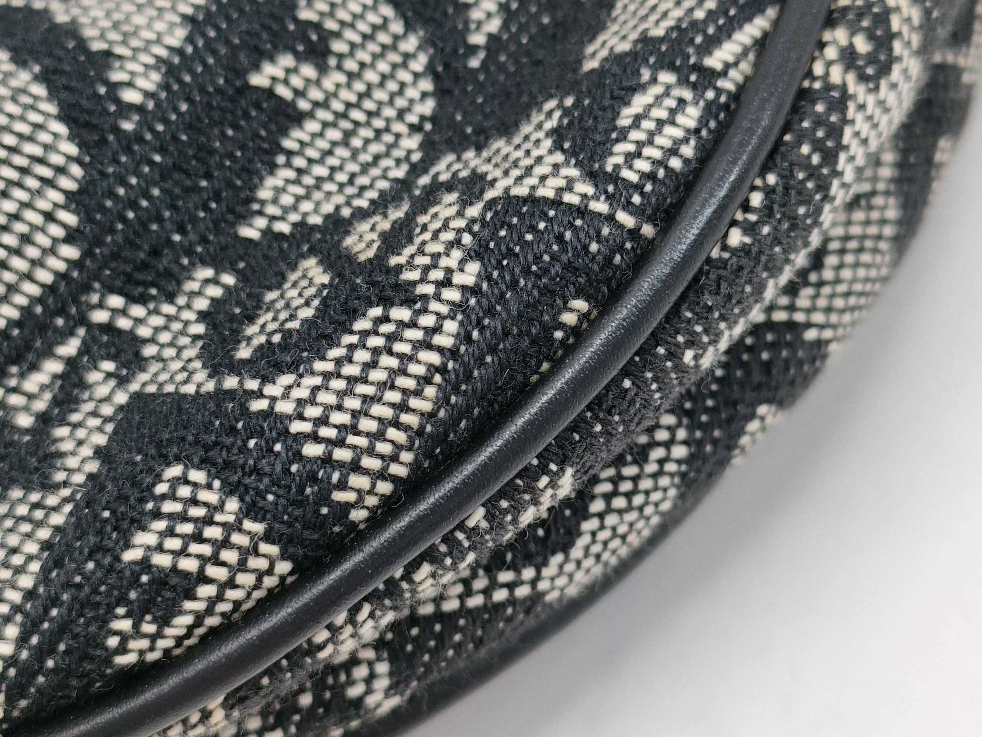 Dior Trotter Saddle Bag Canvas and Leather Handbag