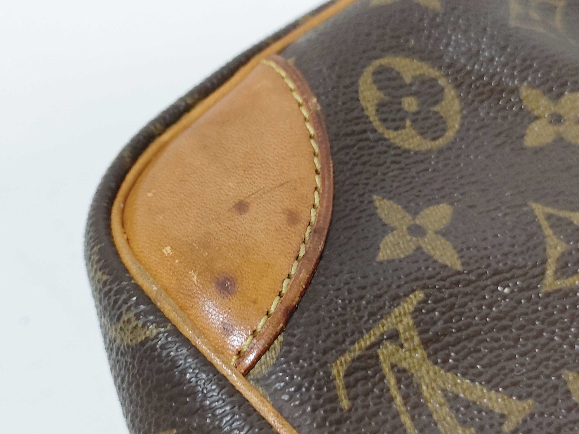 LOUIS VUITTON Monogram LV Monogram Danube Shoulder Bag