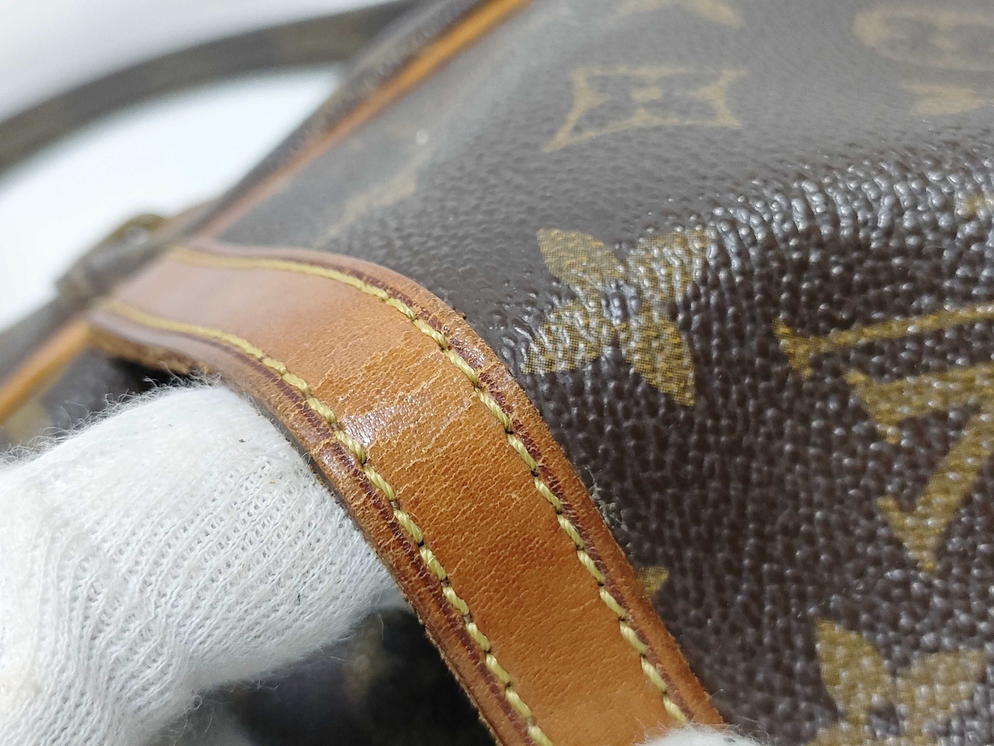 LOUIS VUITTON Monogram LV Monogram Danube Shoulder Bag
