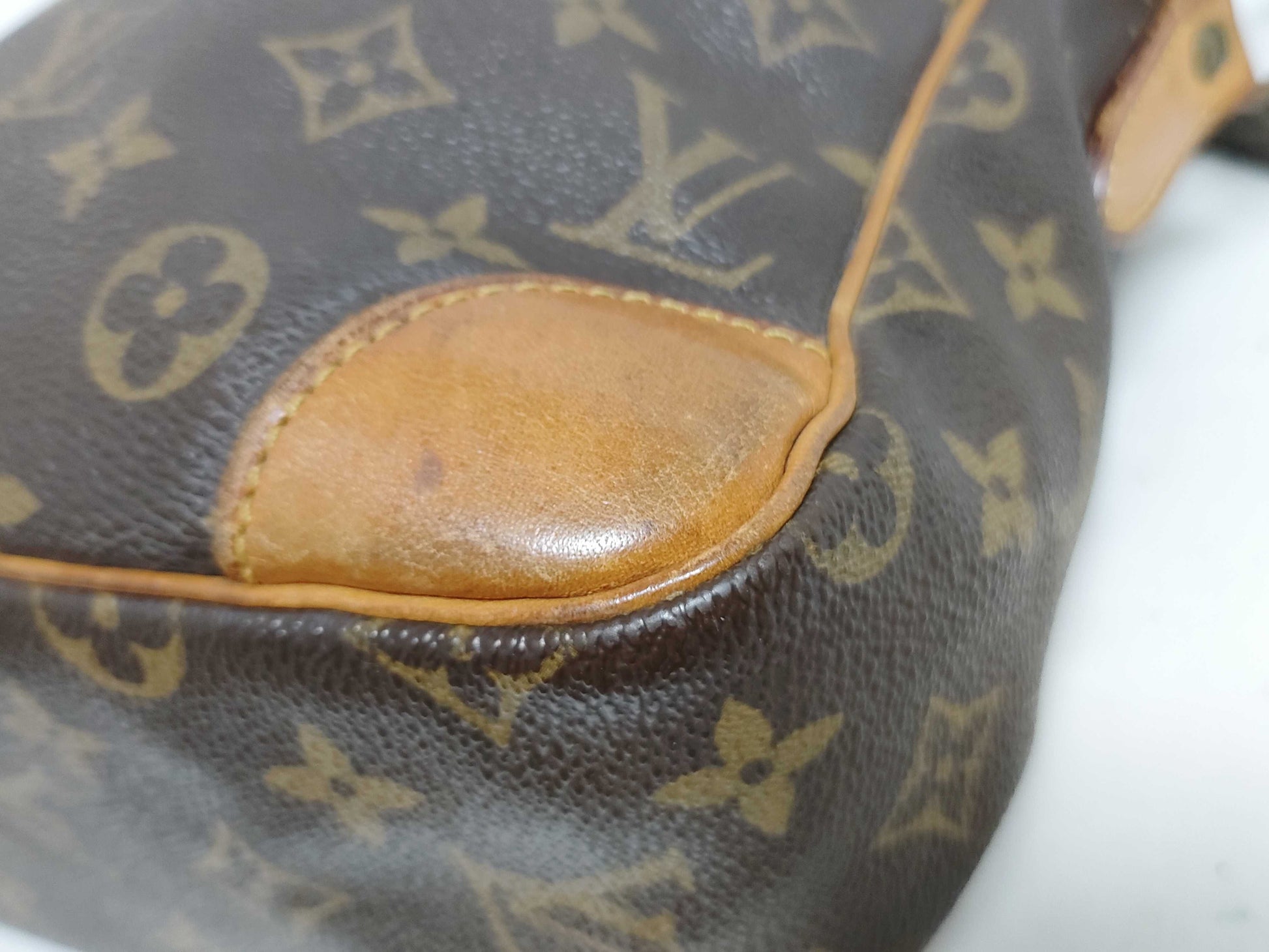 LOUIS VUITTON Monogram LV Monogram Danube Shoulder Bag