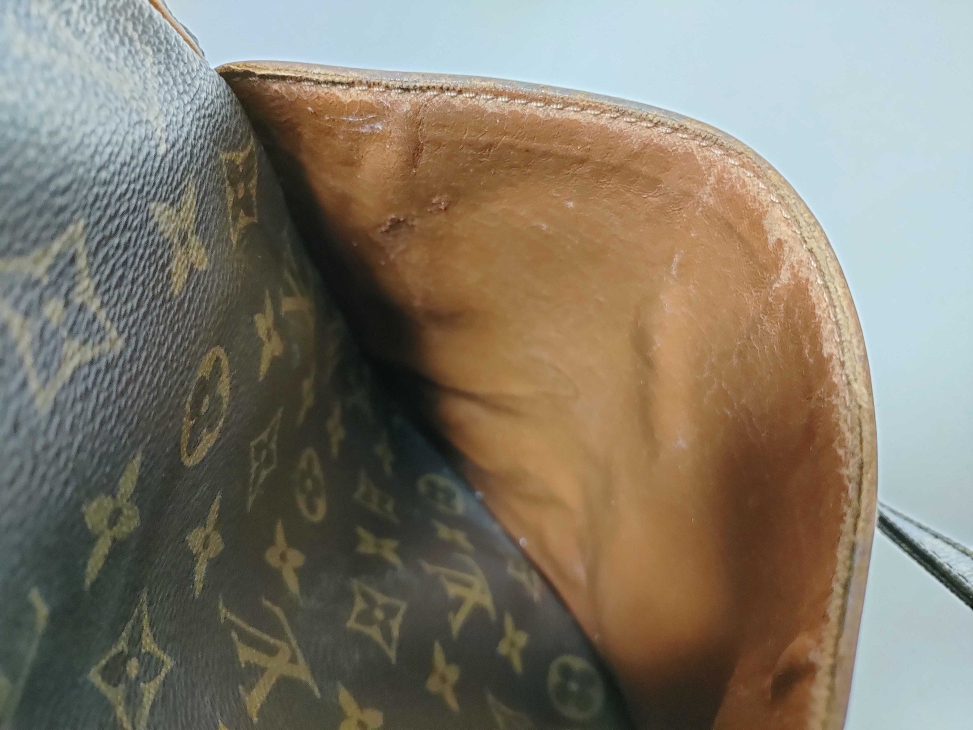 LOUIS VUITTON Monogram LV Monogram Danube Shoulder Bag