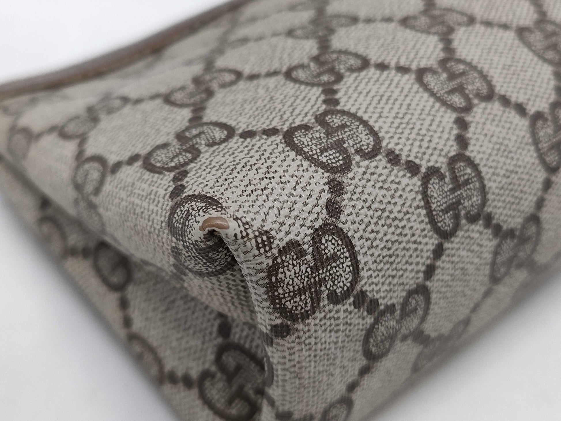 GUCCI pouch