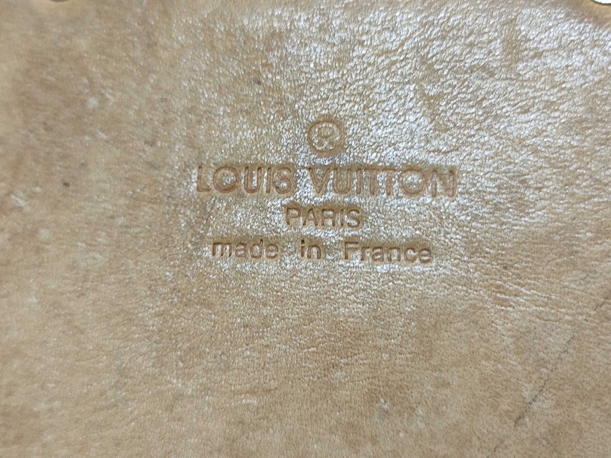 LOUIS VUITTON Multicolor Saumur Bag