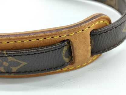 LOUIS VUITTON RFID Unverified TH0012 Monogram Louis Vuitton Amazon Shoulder Bag