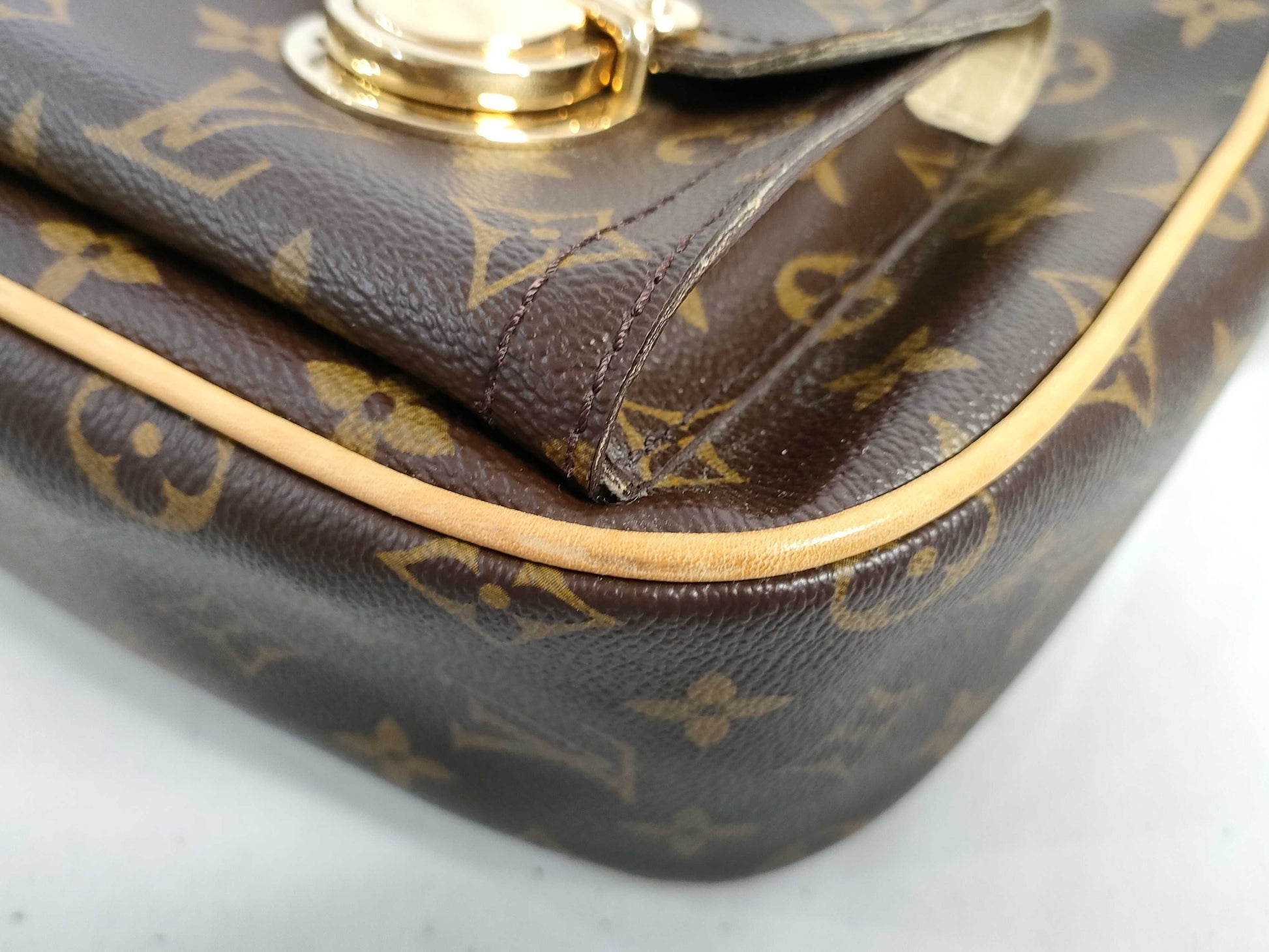 LOUIS VUITTON Monogram Louis Vuitton Monogram Hudson GM Shoulder Bag