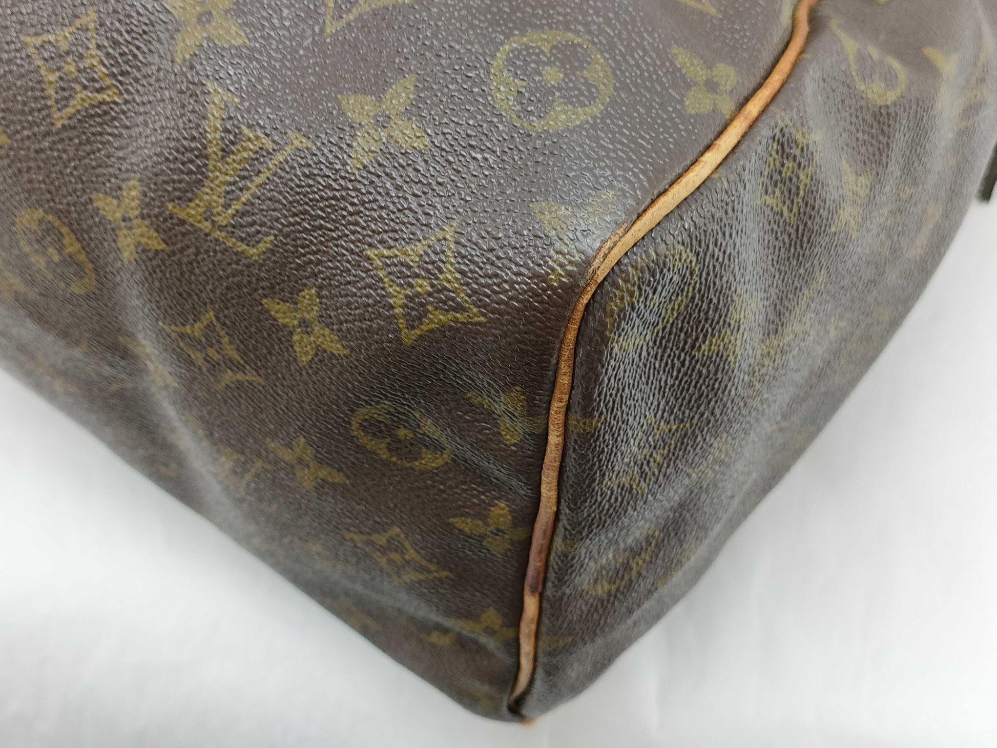 LOUIS VUITTON Monogram Louis Vuitton Speedy Handbag