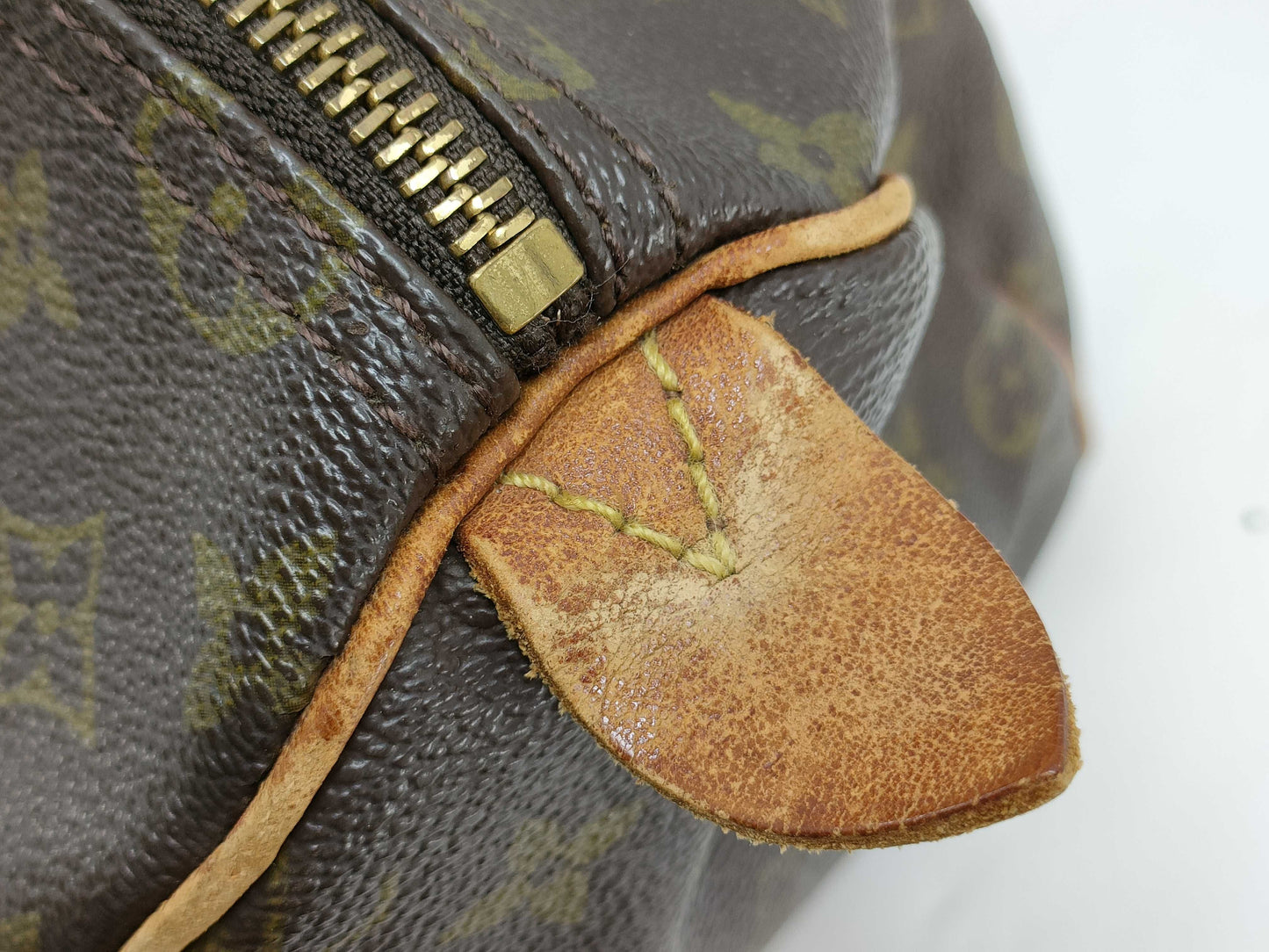 LOUIS VUITTON Monogram Louis Vuitton Speedy Handbag