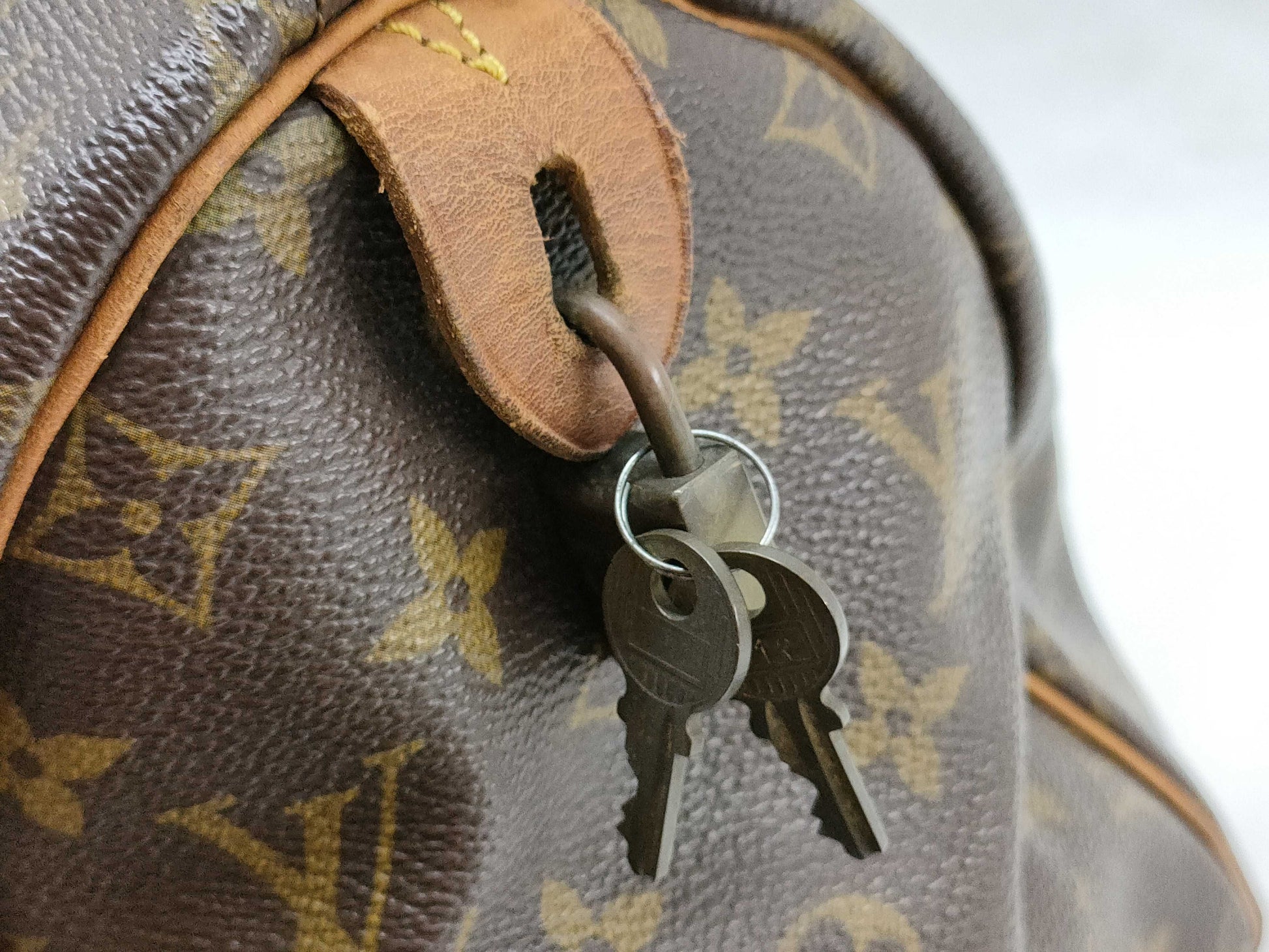 LOUIS VUITTON Monogram Louis Vuitton Speedy Handbag
