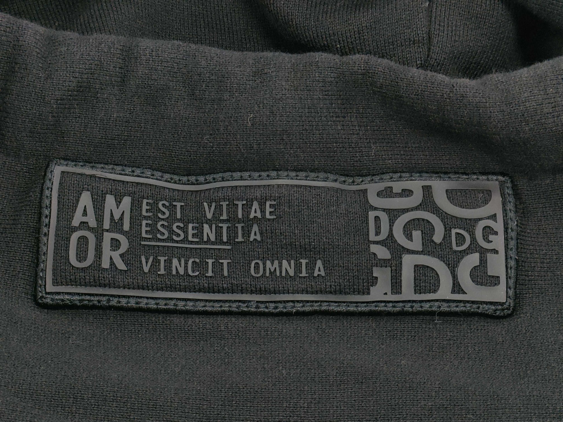 DOLCE&GABBANA DOLCE GABBANA Logo Embroidered Hoodie G7WXY-B Tops