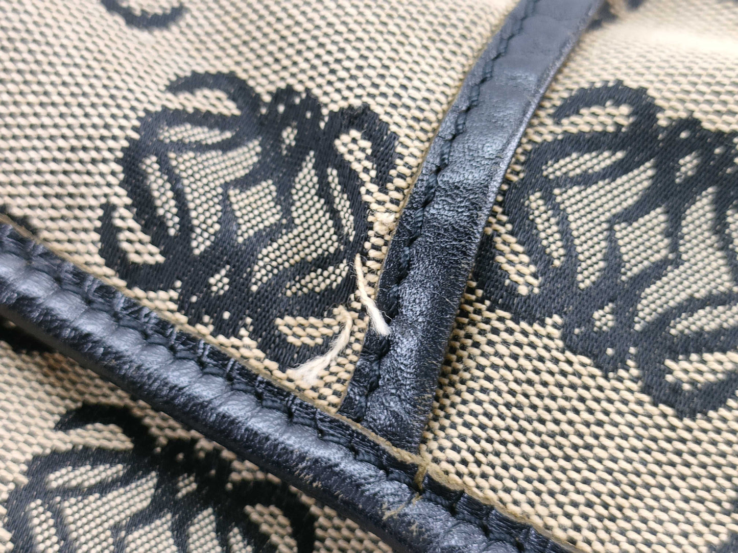 LOEWE Handbag Tote Canvas Anagram Tote Bag