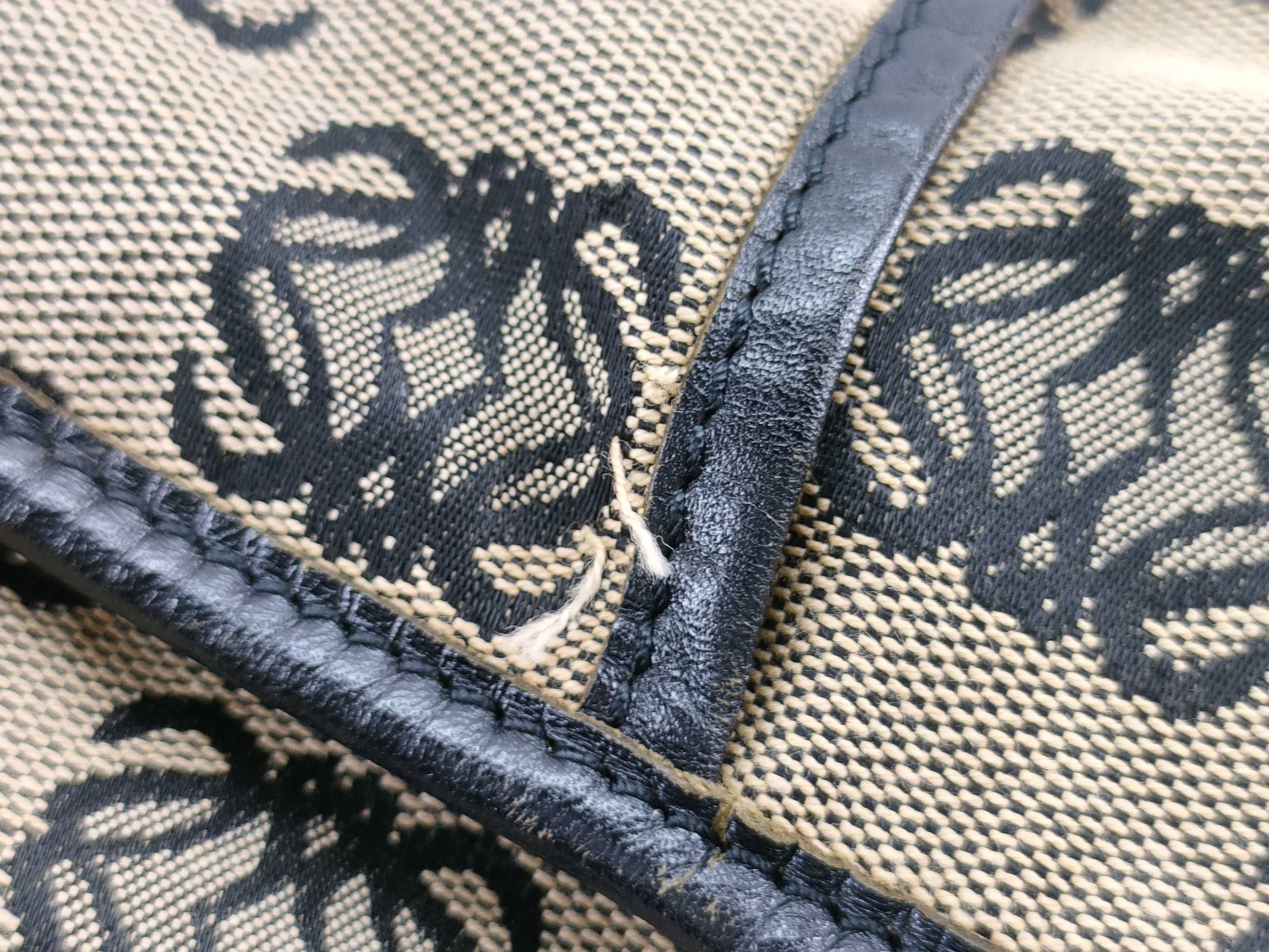 LOEWE Handbag Tote Canvas Anagram Tote Bag