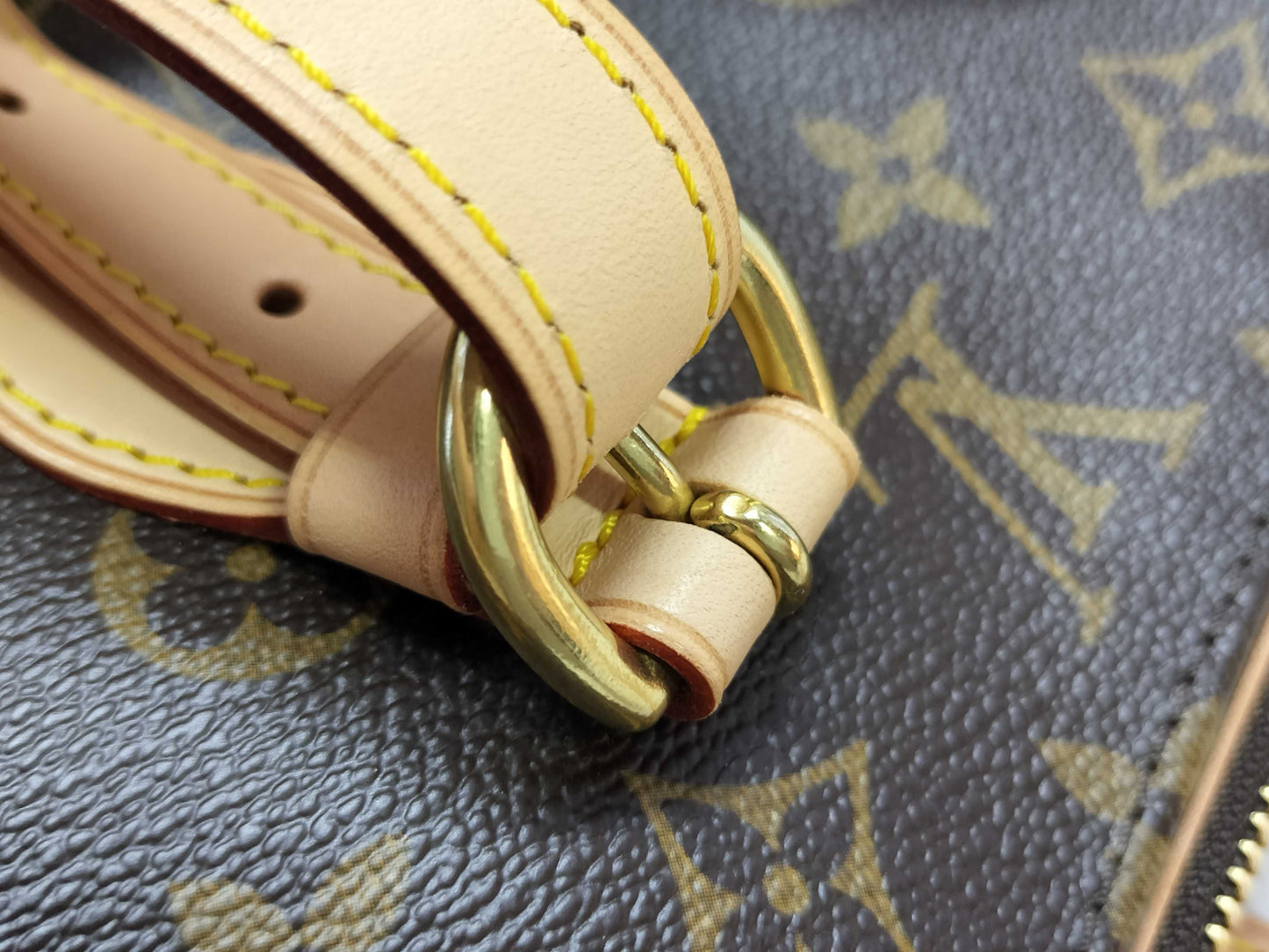LOUIS VUITTON Monogram LV Monogram Popincourt FL0026 Tote Bag