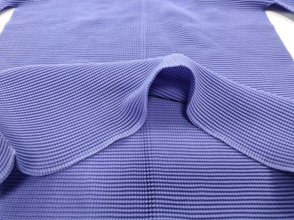 ISSEY MIYAKE Top, High Neck, Long Sleeve, Blue Top