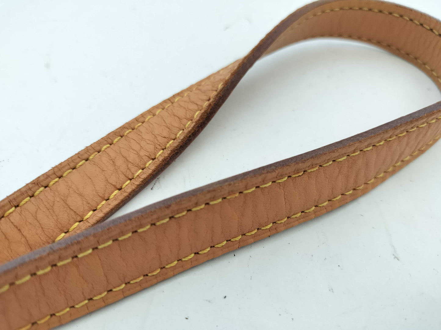 LOUIS VUITTON Monogram Viva Cite PM M51165 Tote Bag 