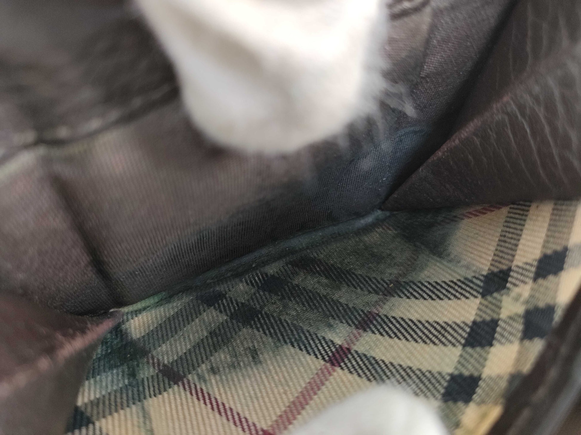 BURBERRY Coin Case Coin Case