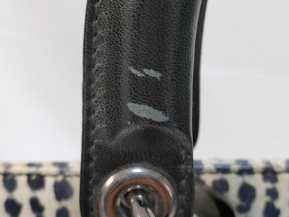 Dior Lady Dior Handbag Handbag