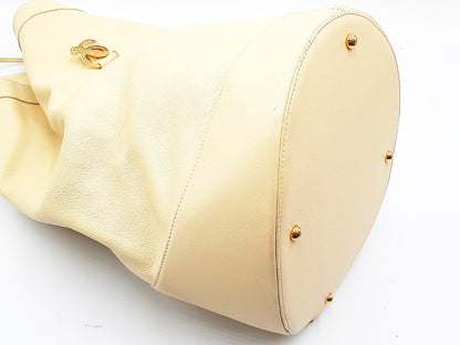 LOEWE Anton Gold Hardware Leather Shoulder Bag