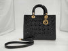 Dior Lady Dior Handbag