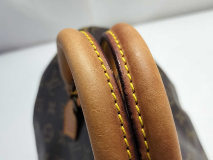 LOUIS VUITTON Louis Vuitton Speedy 30 Handbag