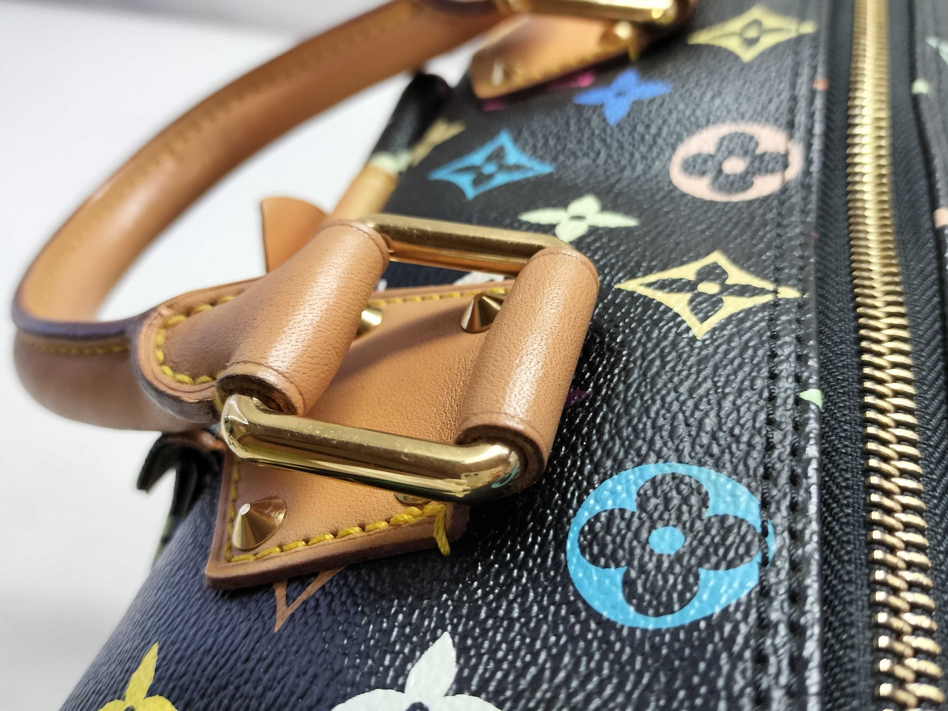 LOUIS VUITTON Speedy Multicolor Handbag