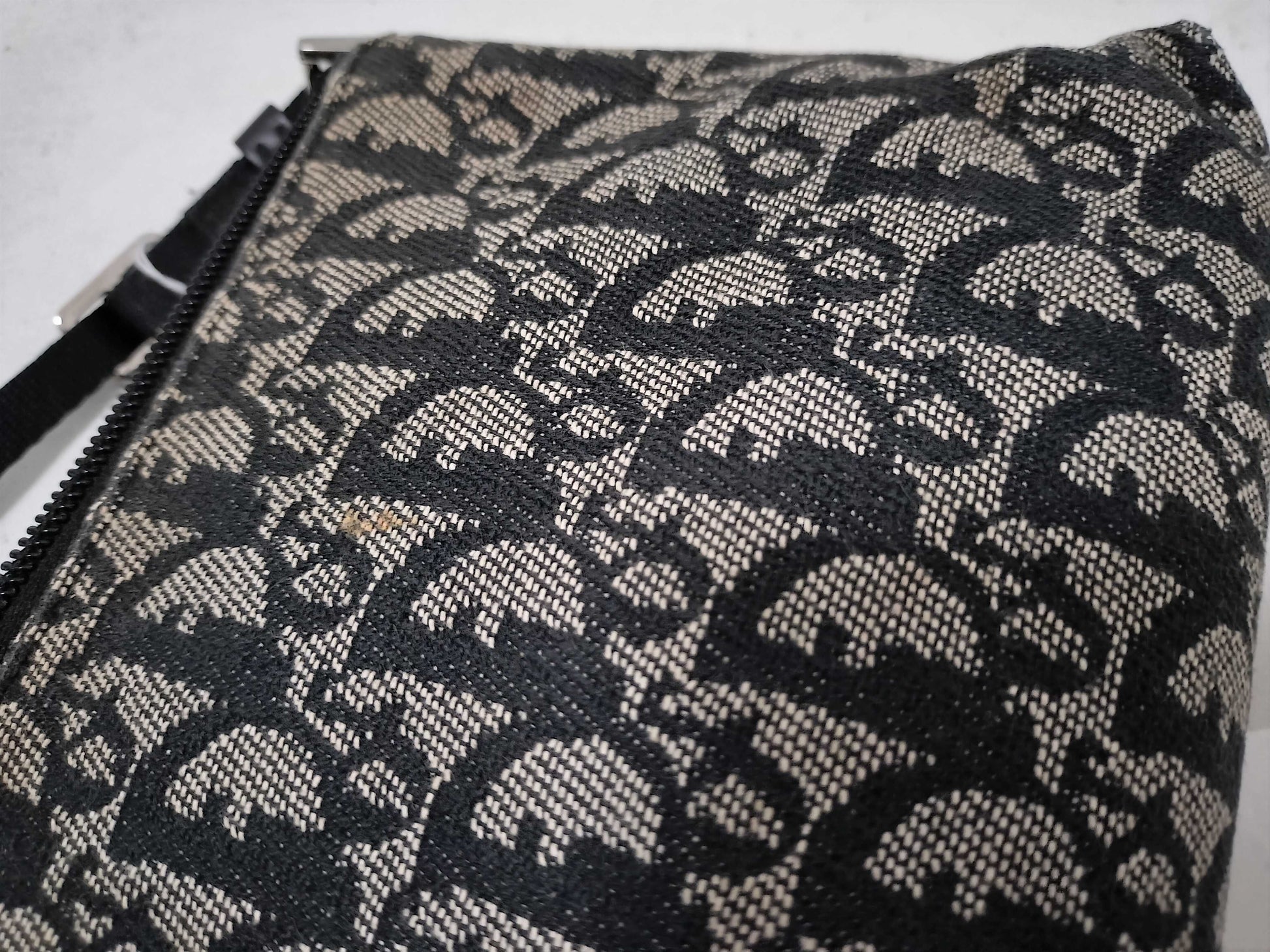 Dior Trotter Accessory Pouch Shoulder Bag