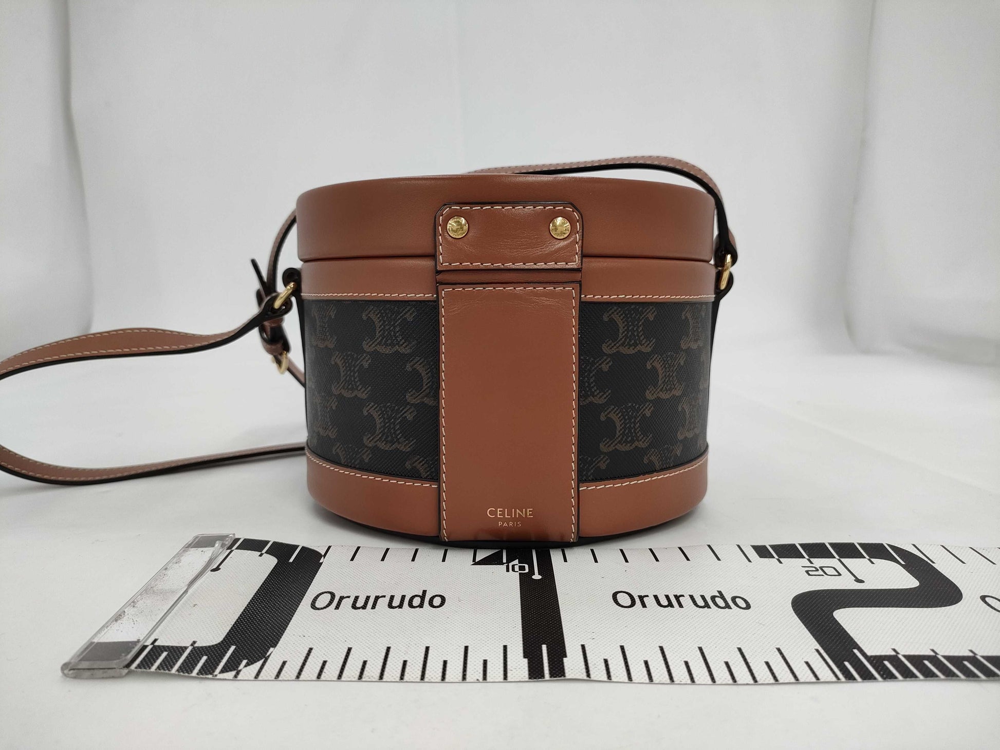 CELINE Triomphe Tambour Vanity PVC/Leather Vanity Bag with Gold Hardware