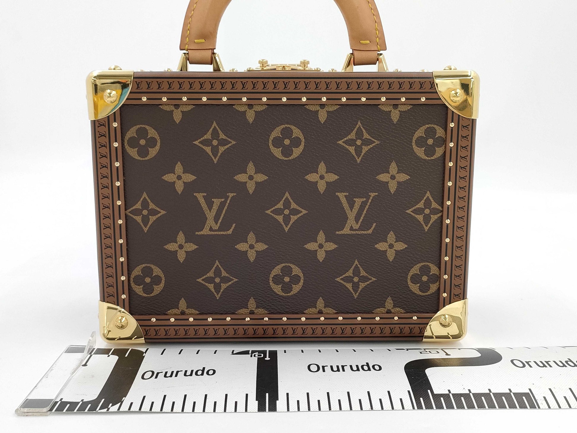 LOUIS VUITTON Monogram Petite Valise Vanity Bag
