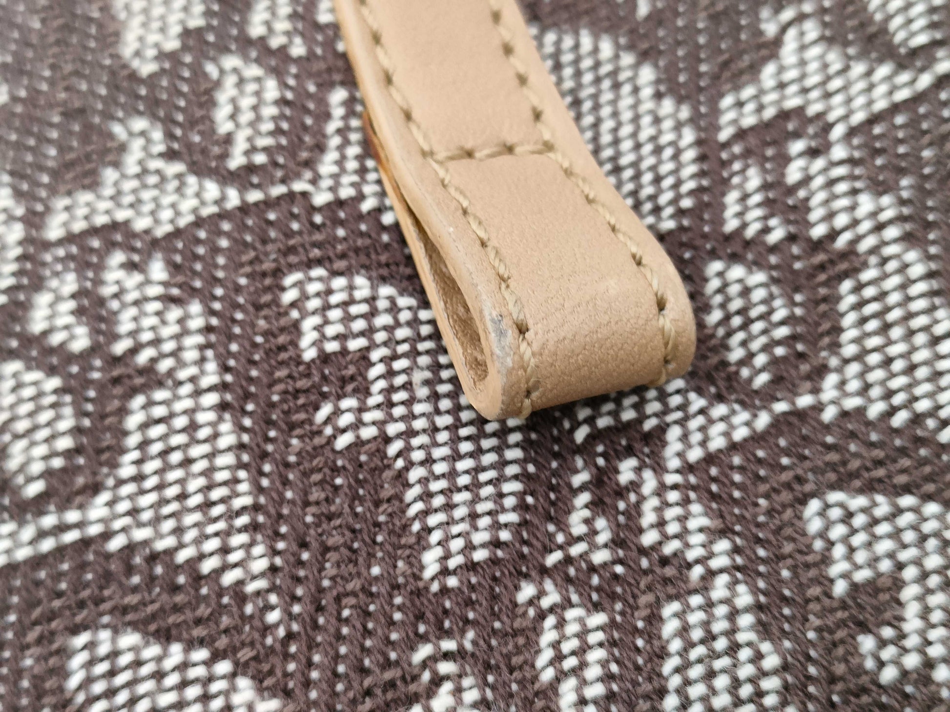 Dior Trotter Tote Brown Tote Bag