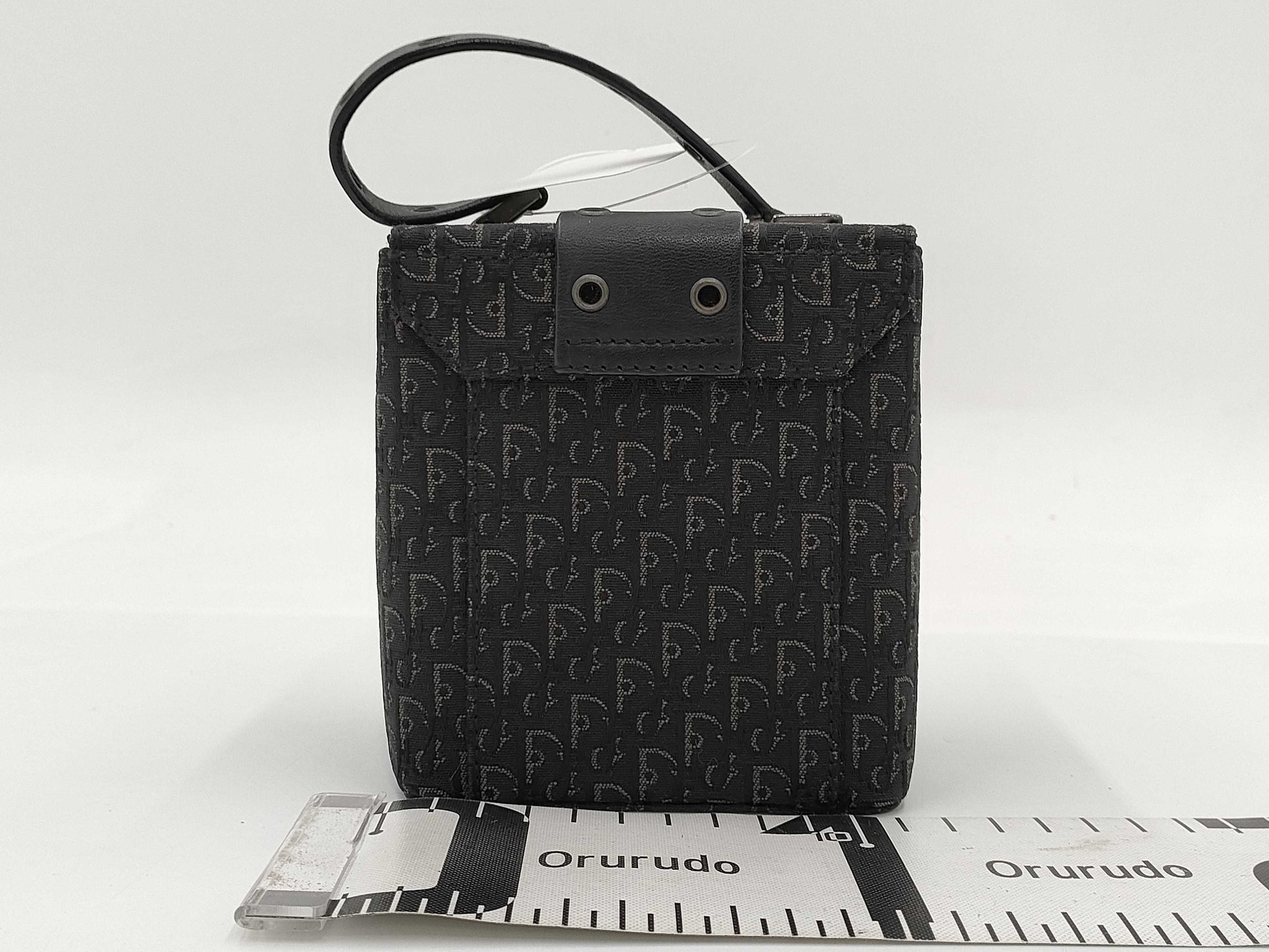 Dior Street Chic Vanity Bag