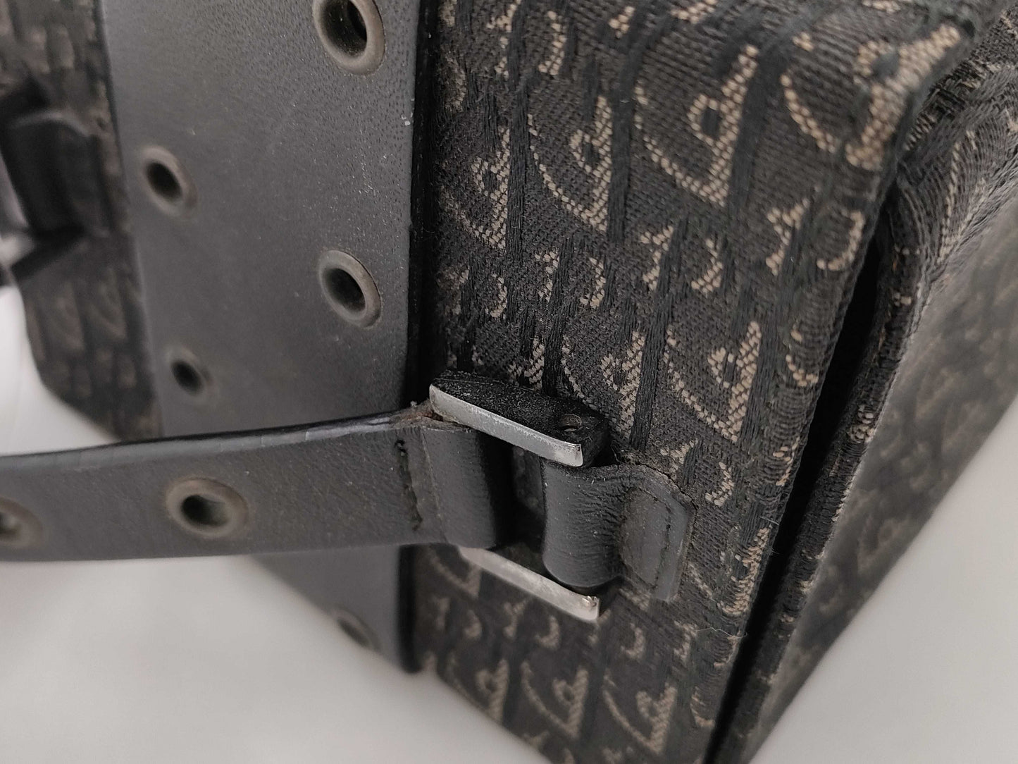 Dior Street Chic Vanity Bag