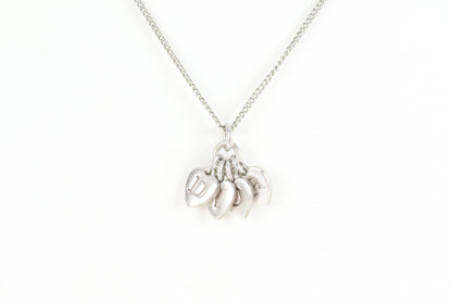 Dior Heart Motif Pendant Silver Accessory Necklace