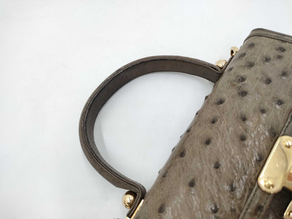 Comtesse 2-Way Ostrich Shoulder Bag