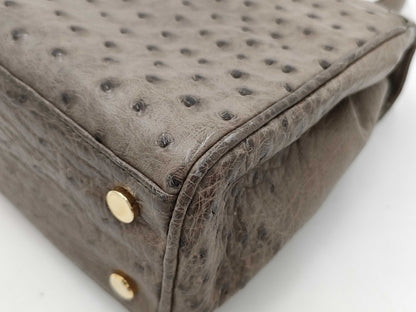 Comtesse 2-Way Ostrich Shoulder Bag