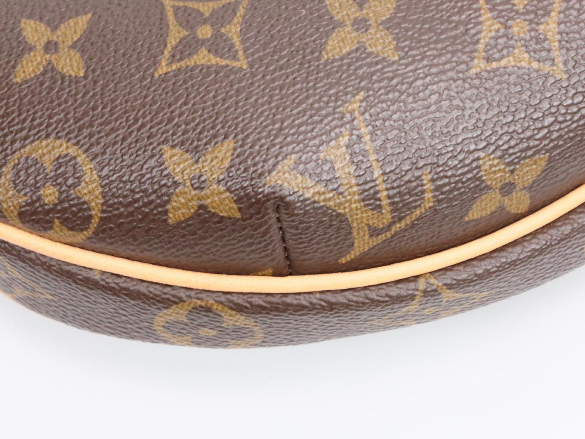 LOUIS VUITTON Monogram Pochette Croissant M51510 Shoulder Bag