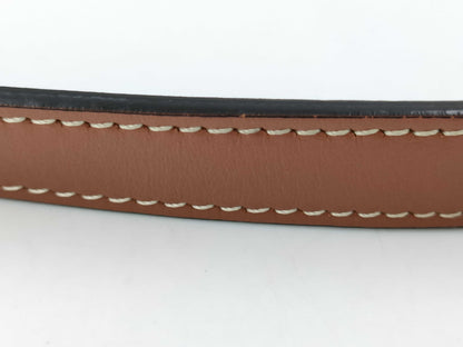CELINE Ava Triomphe Macadam Brown Handbag