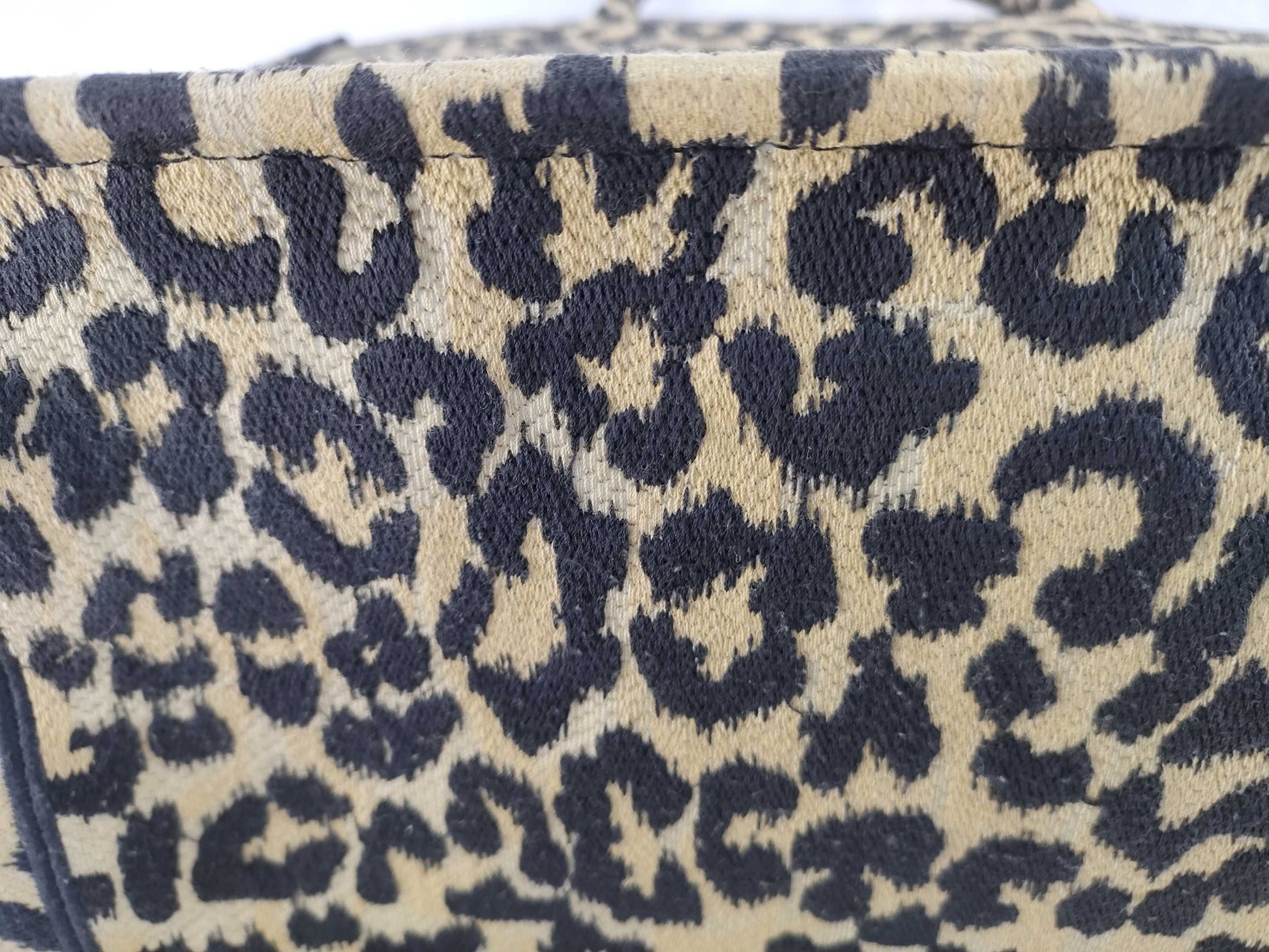 Dior Christian Dior Book Tote Leopard Print Tote Bag