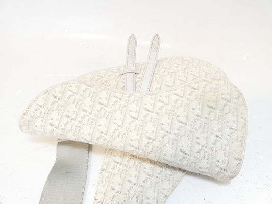 Dior Saddle Bag Trotter Canvas Messenger Shoulder Bag