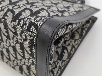 Dior handbag tote bag