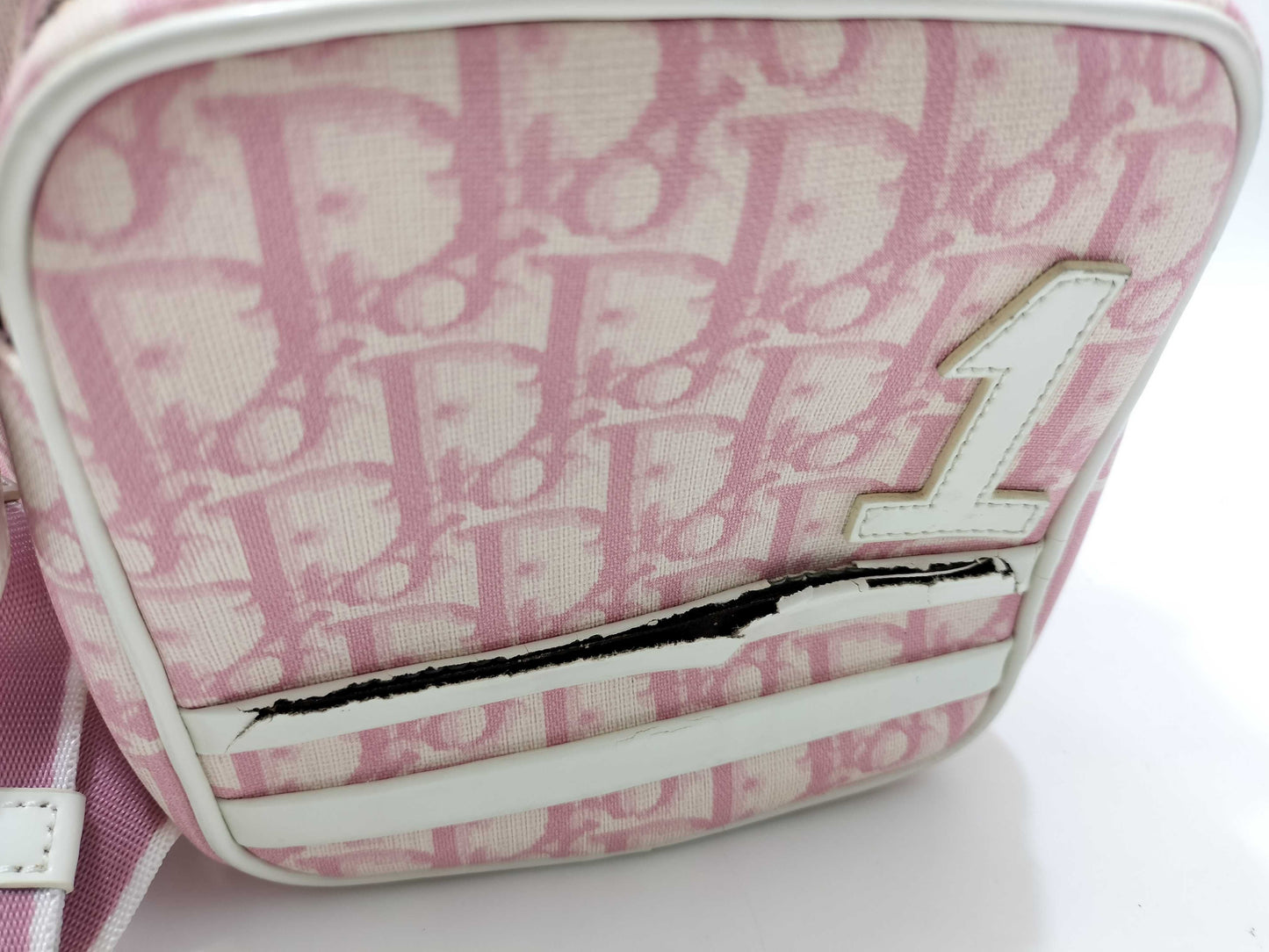 Dior Trotter Dior Trotter Shoulder Bag No.1 Dust Bag Shoulder Bag