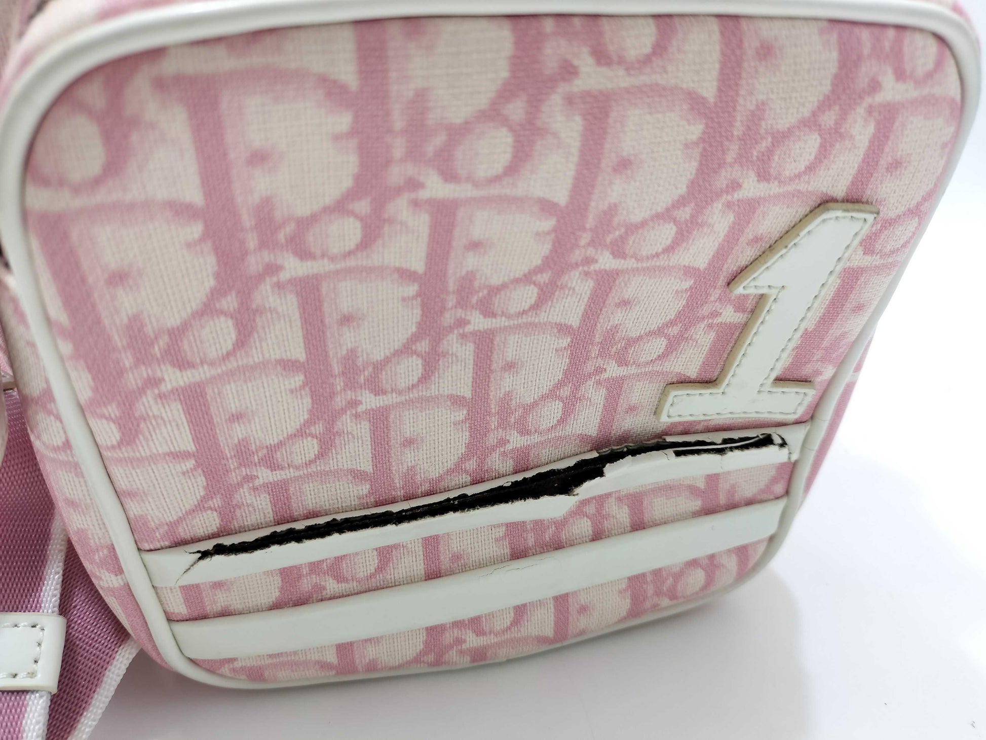 Dior Trotter Dior Trotter Shoulder Bag No.1 Dust Bag Shoulder Bag
