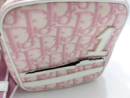 Dior Trotter Dior Trotter Shoulder Bag No.1 Dust Bag Shoulder Bag