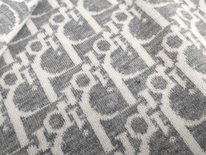 Dior Trotter Scarf Gray