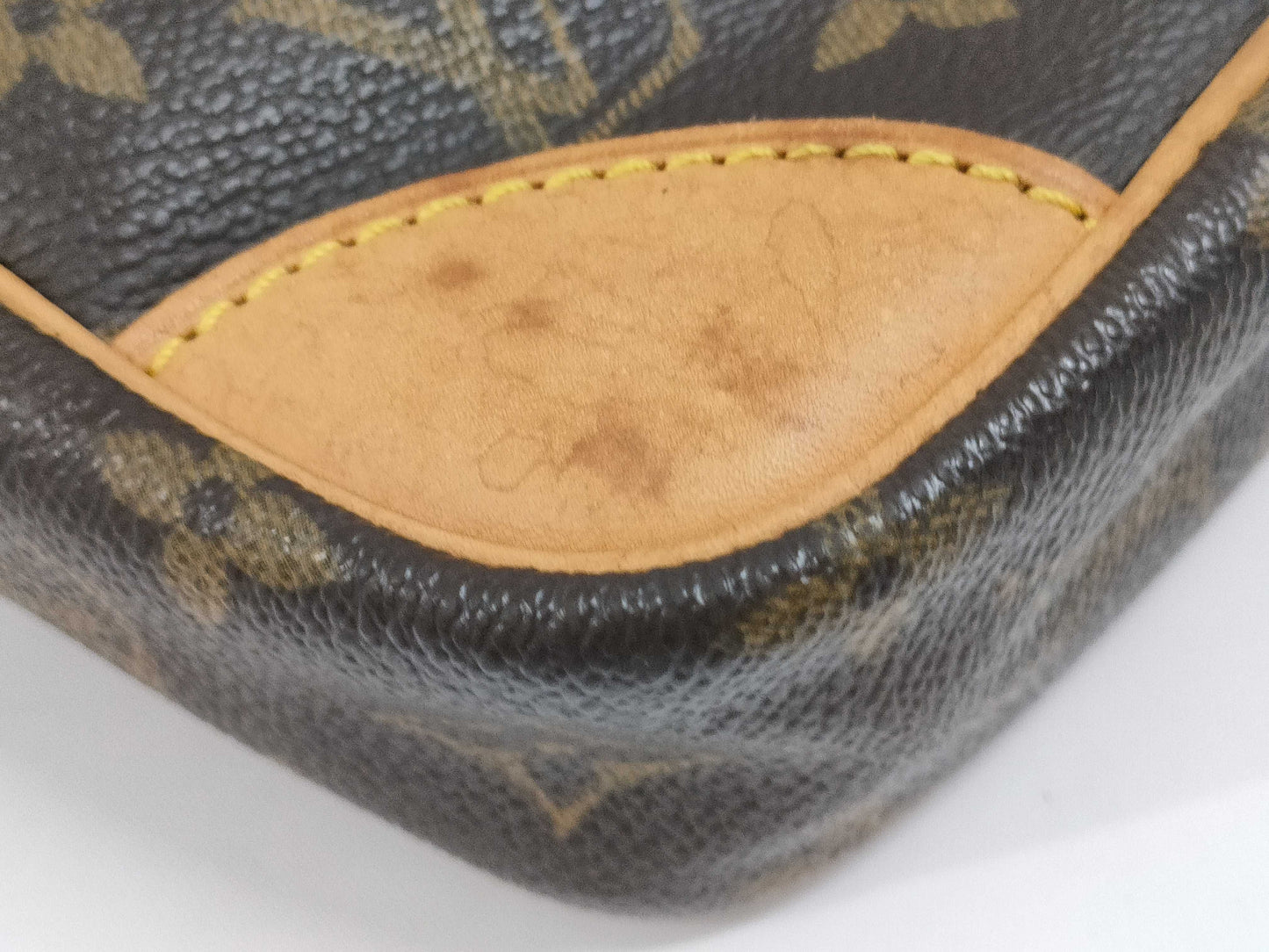 LOUIS VUITTON Monogram Danube Shoulder Bag