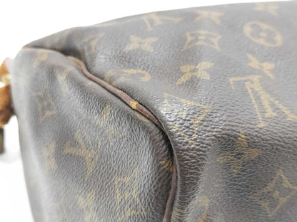LOUIS VUITTON Monogram LV Speedy Handbag