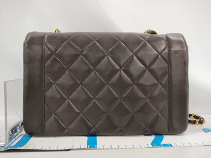 CHANEL Diana 25 Chain Shoulder Bag