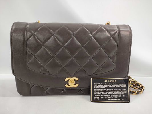 CHANEL Diana 25 Chain Shoulder Bag