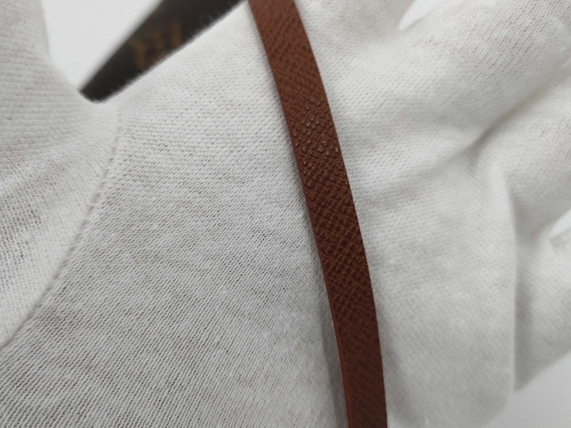 LOUIS VUITTON Papillon Pouch Monogram Pouch