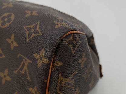 LOUIS VUITTON Louis Vuitton Monogram Speedy Handbag