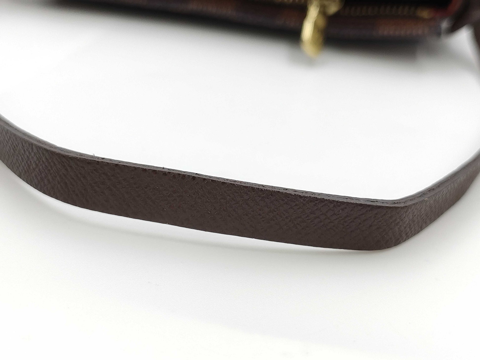 LOUIS VUITTON Damier Truth Makeup Handbag
